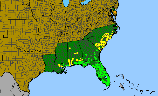 The range of Agalinis linifolia